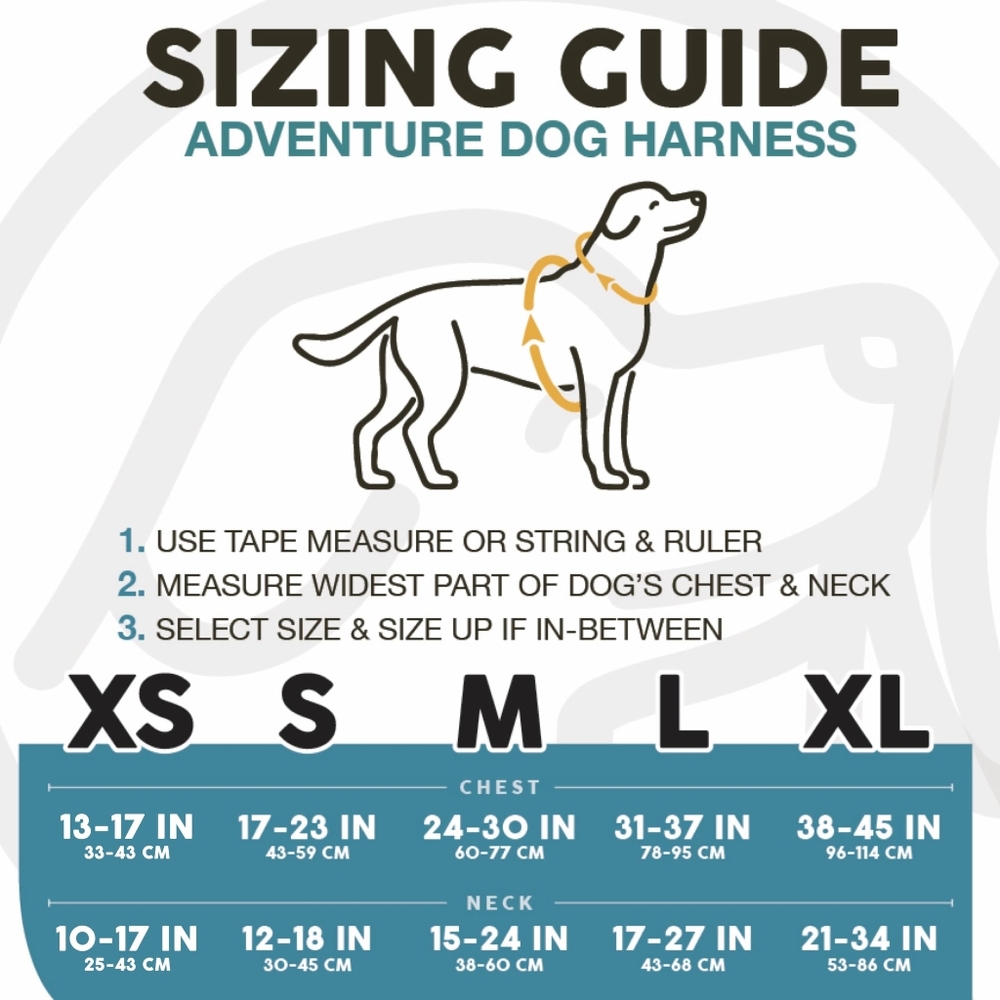 Embark Dog Harness - Picture 4 of 4